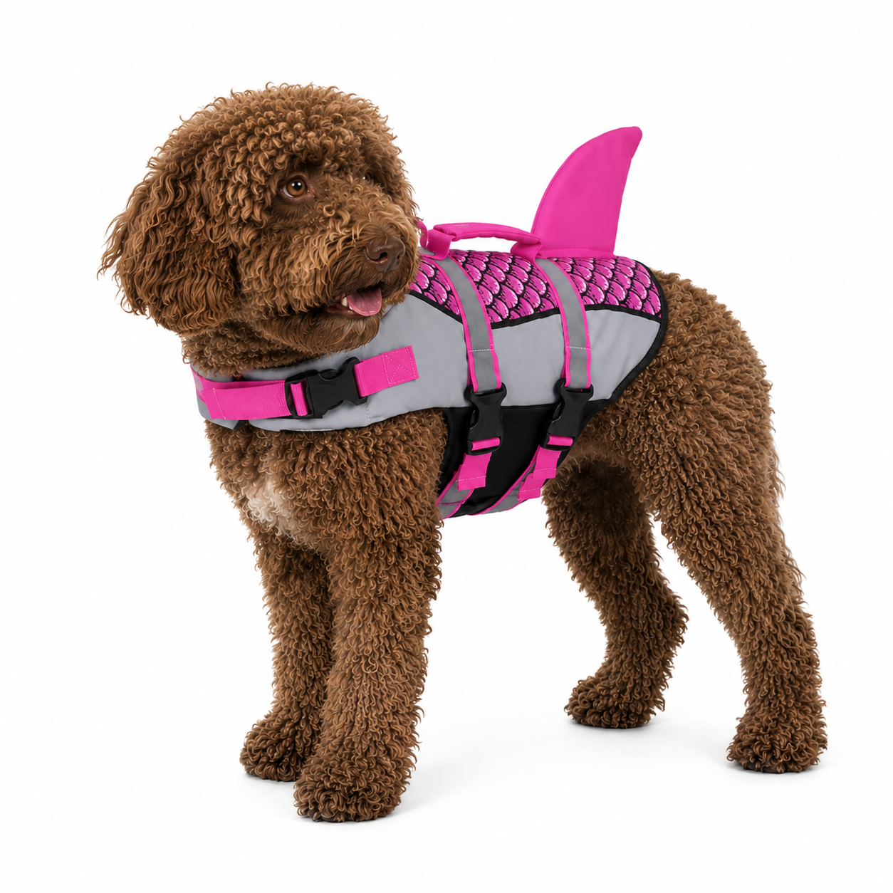 Nalu™ Chaleco Salvavidas para Perros